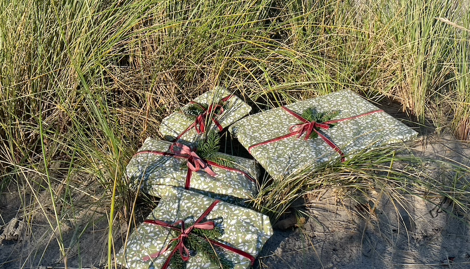 ADVENTSGAVER TIL VINTERBADEREN